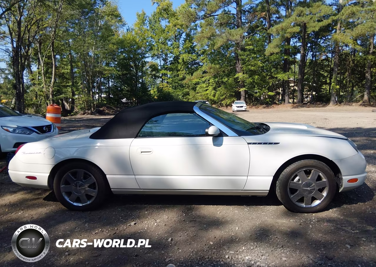2002 Ford Thunderbird VIN:1FAHP60A42Y109498 - 13
