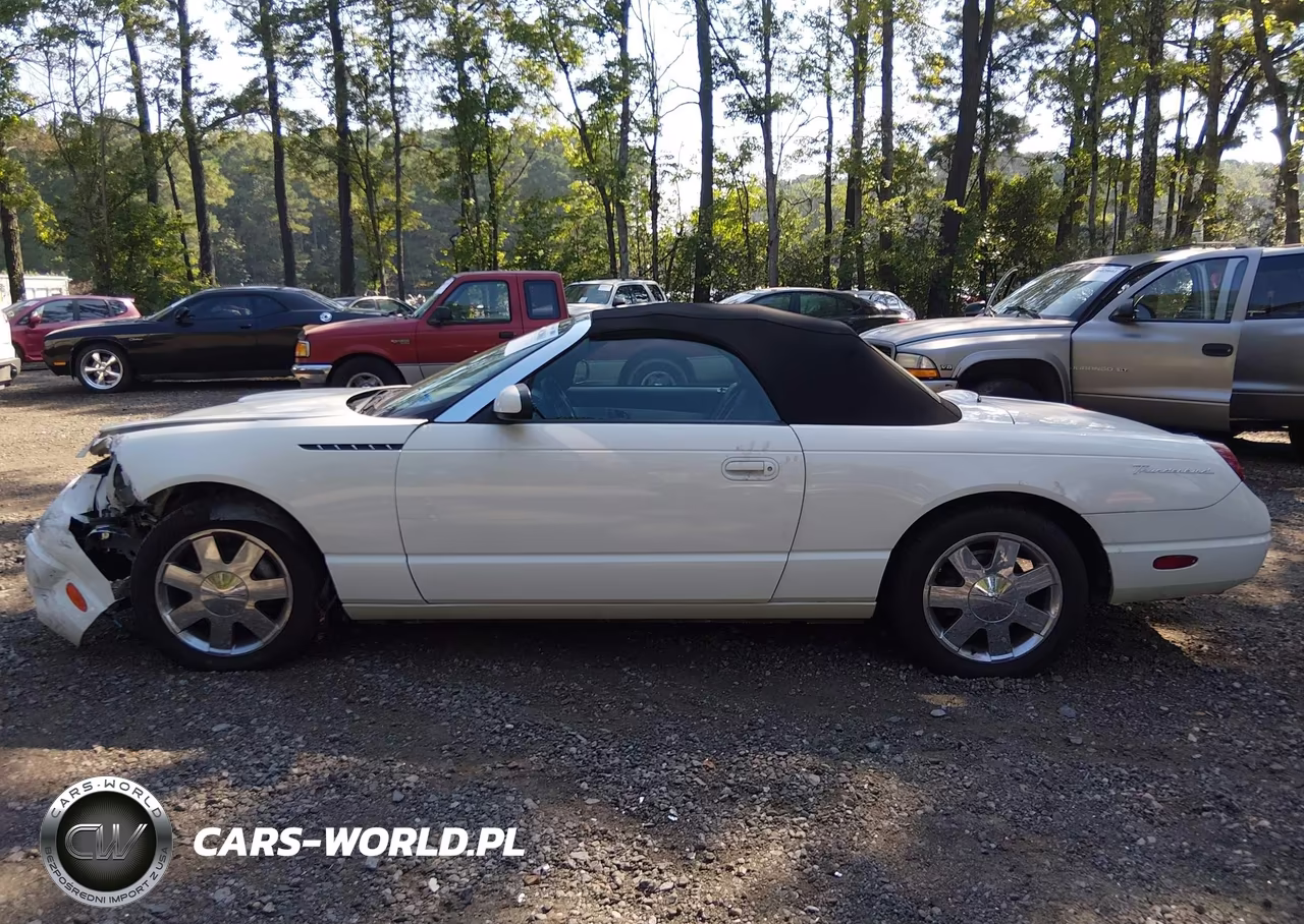 2002 Ford Thunderbird VIN:1FAHP60A42Y109498 - 14