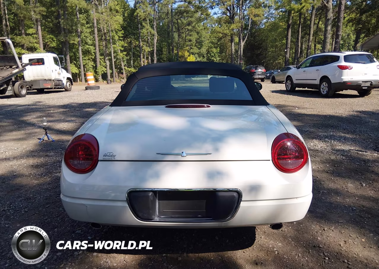 2002 Ford Thunderbird VIN:1FAHP60A42Y109498 - 16