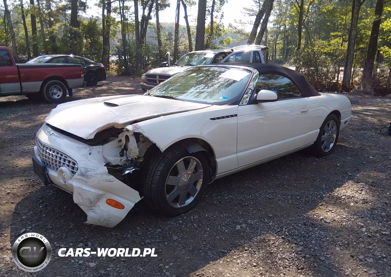 2002 Ford Thunderbird VIN:1FAHP60A42Y109498 - 2