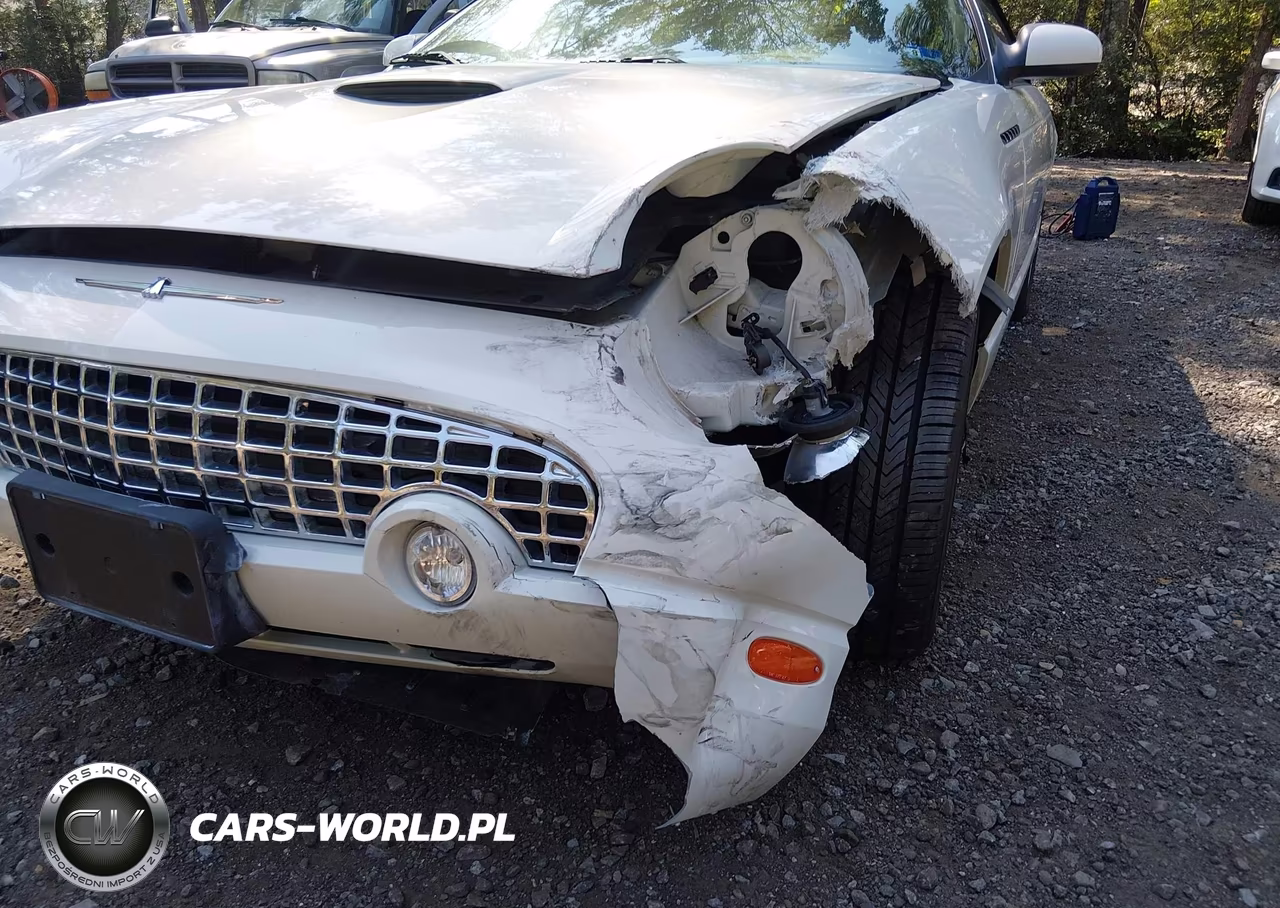 2002 Ford Thunderbird VIN:1FAHP60A42Y109498 - 6