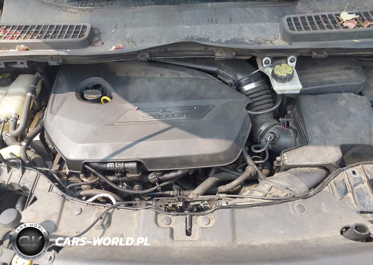 2014 Ford Escape Se VIN:1FMCU0GX2EUB85068 - 10