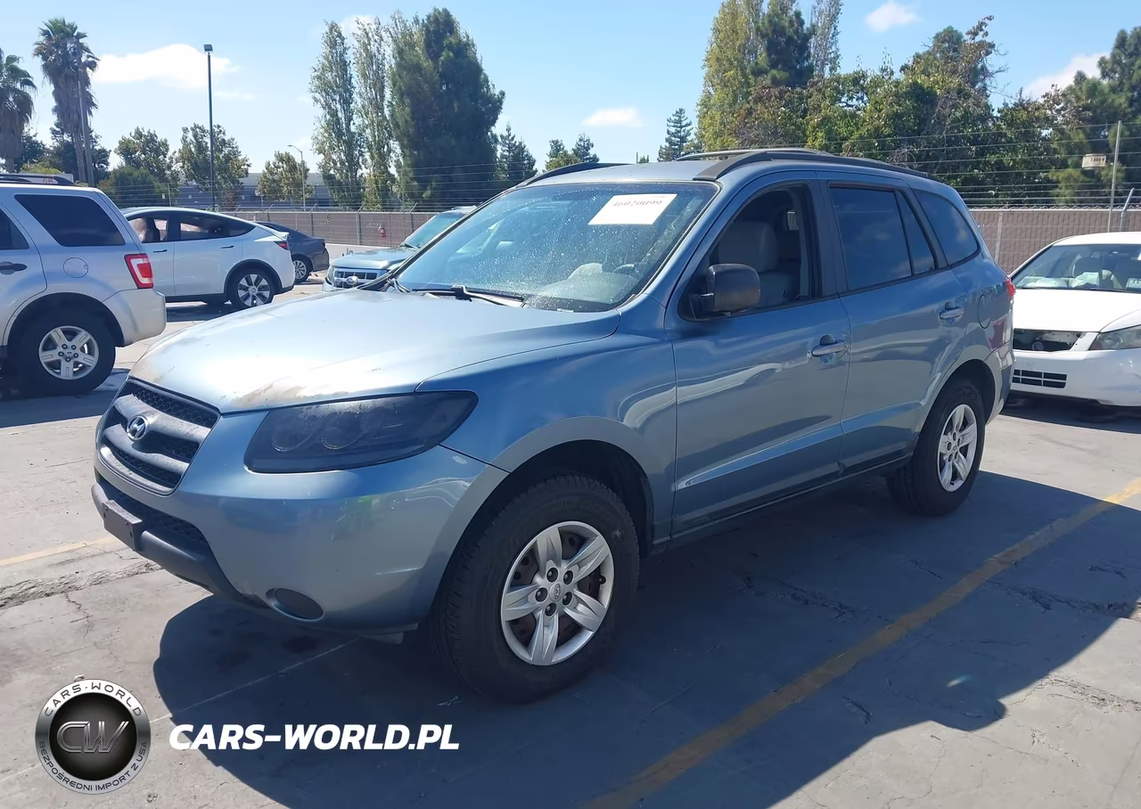 2009 Hyundai Santa Fe Gls VIN:5NMSG13D59H275031 - 2