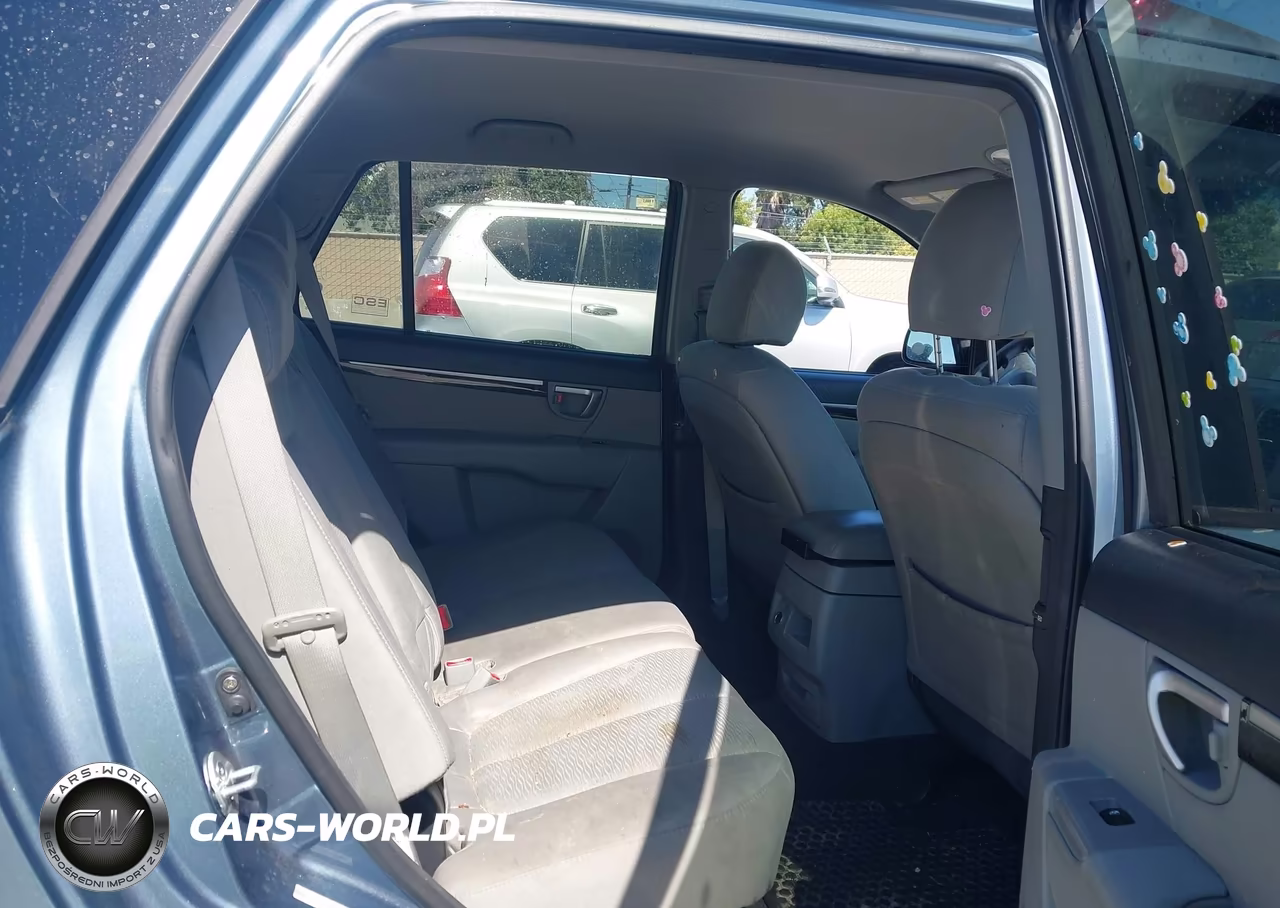 2009 Hyundai Santa Fe Gls VIN:5NMSG13D59H275031 - 8