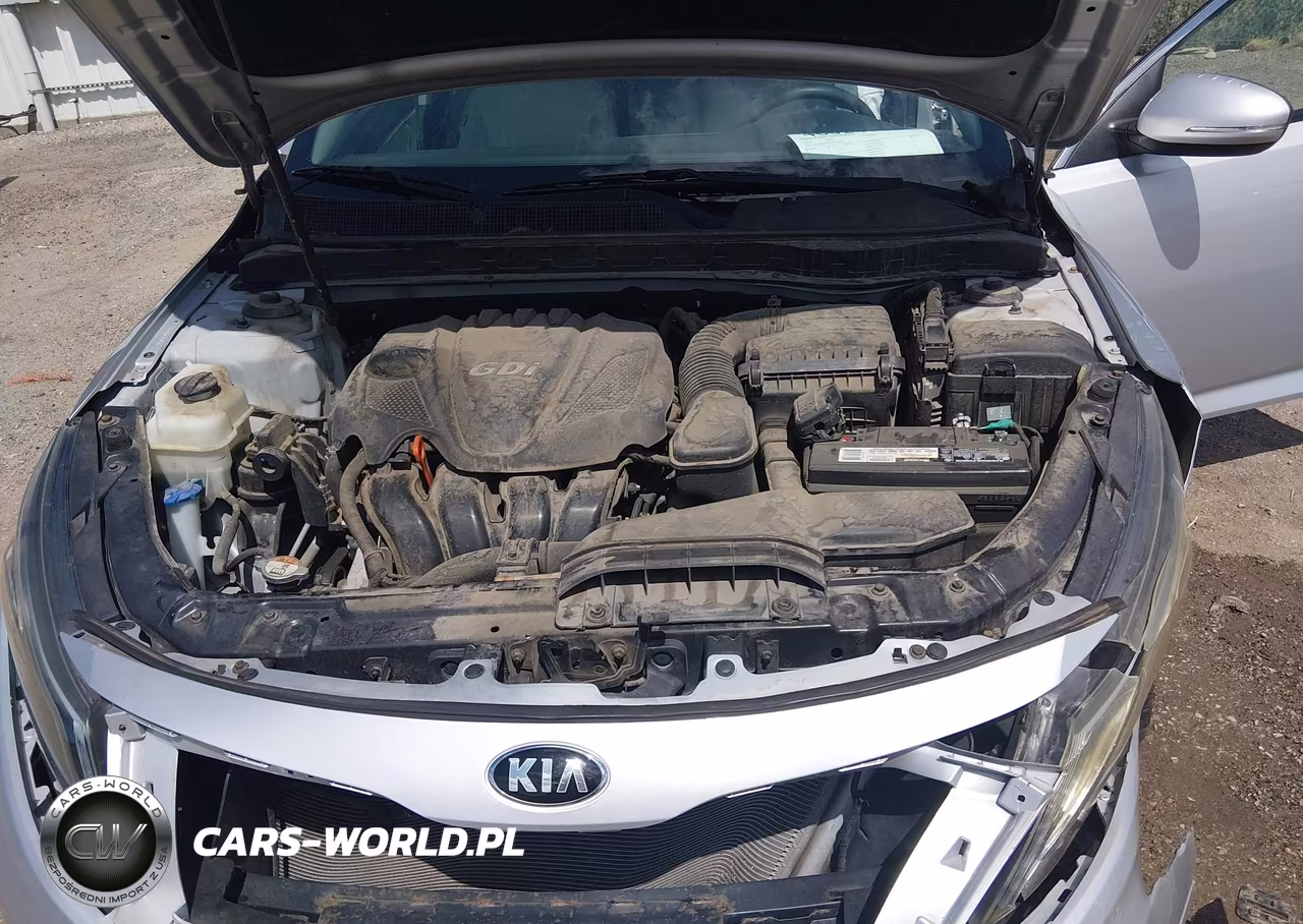2014 Kia Optima Lx VIN:5XXGM4A73EG344949 - 10