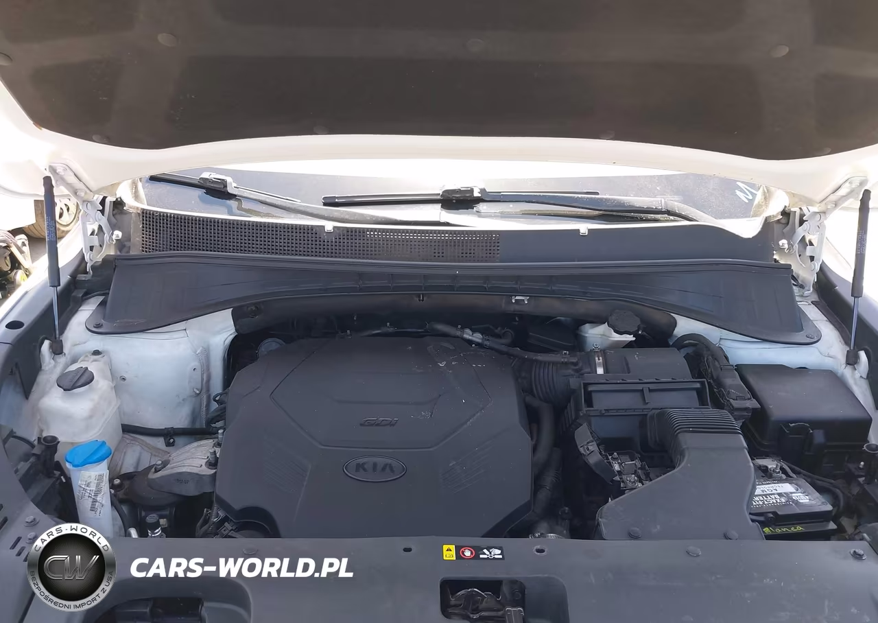 2019 Kia Sorento S V6 VIN:5XYPGDA54KG584430 - 10