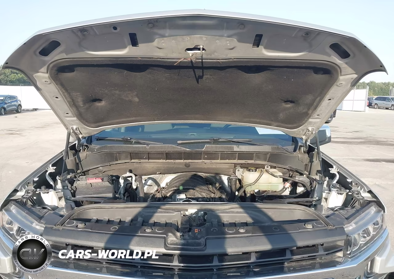 2019 Chevrolet Silverado 1500 Lt VIN:3GCUYDED1KG297792 - 10