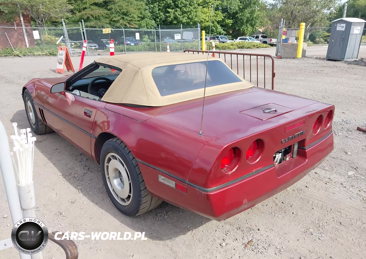 1987 Chevrolet Corvette VIN:1G1YY3189H5115642 - 3