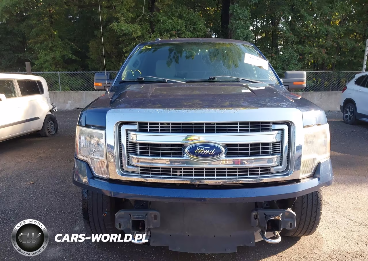 2013 Ford F-150 Xlt VIN:1FTFW1EF7DFD38459 - 13