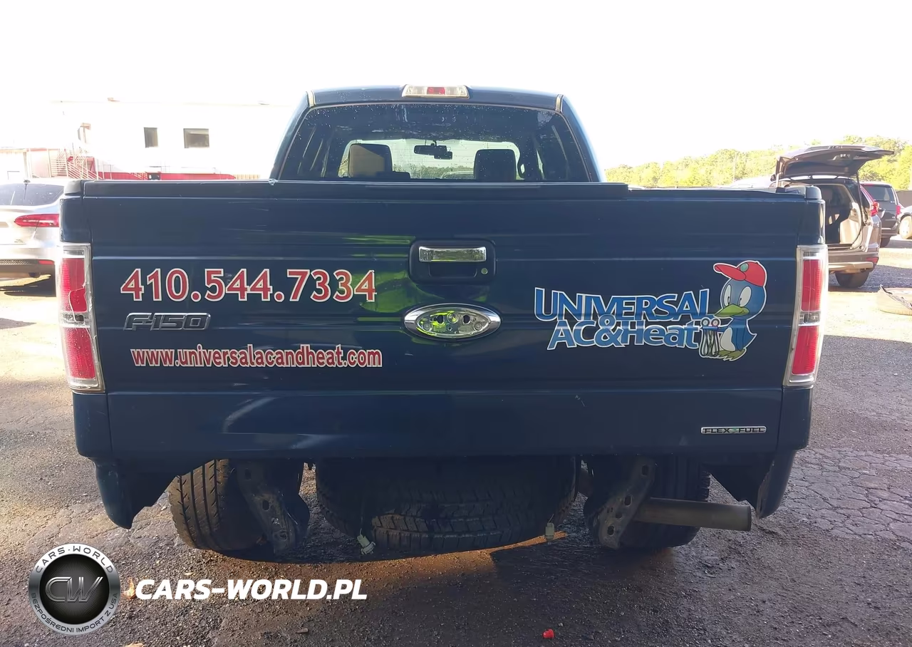 2013 Ford F-150 Xlt VIN:1FTFW1EF7DFD38459 - 17
