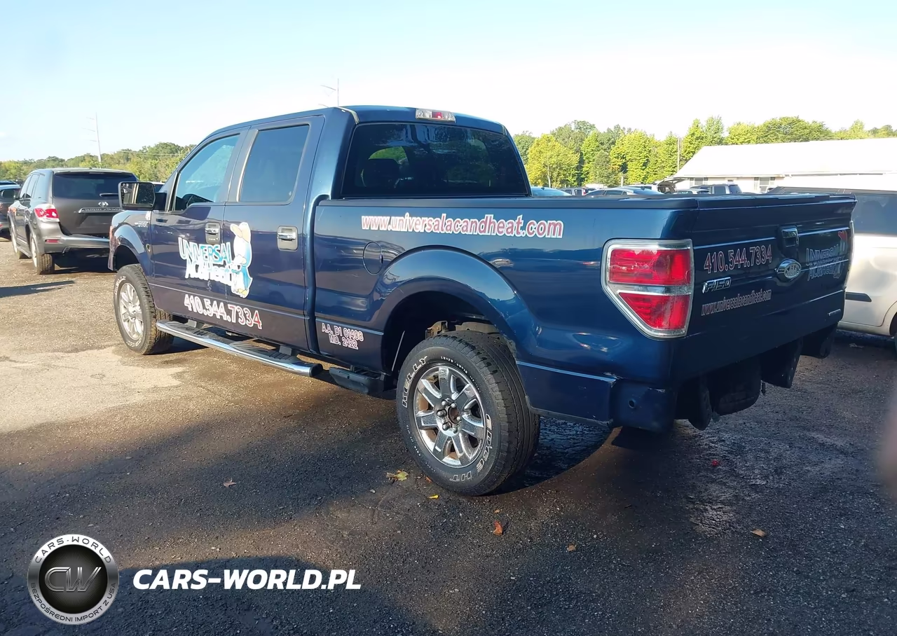 2013 Ford F-150 Xlt VIN:1FTFW1EF7DFD38459 - 3