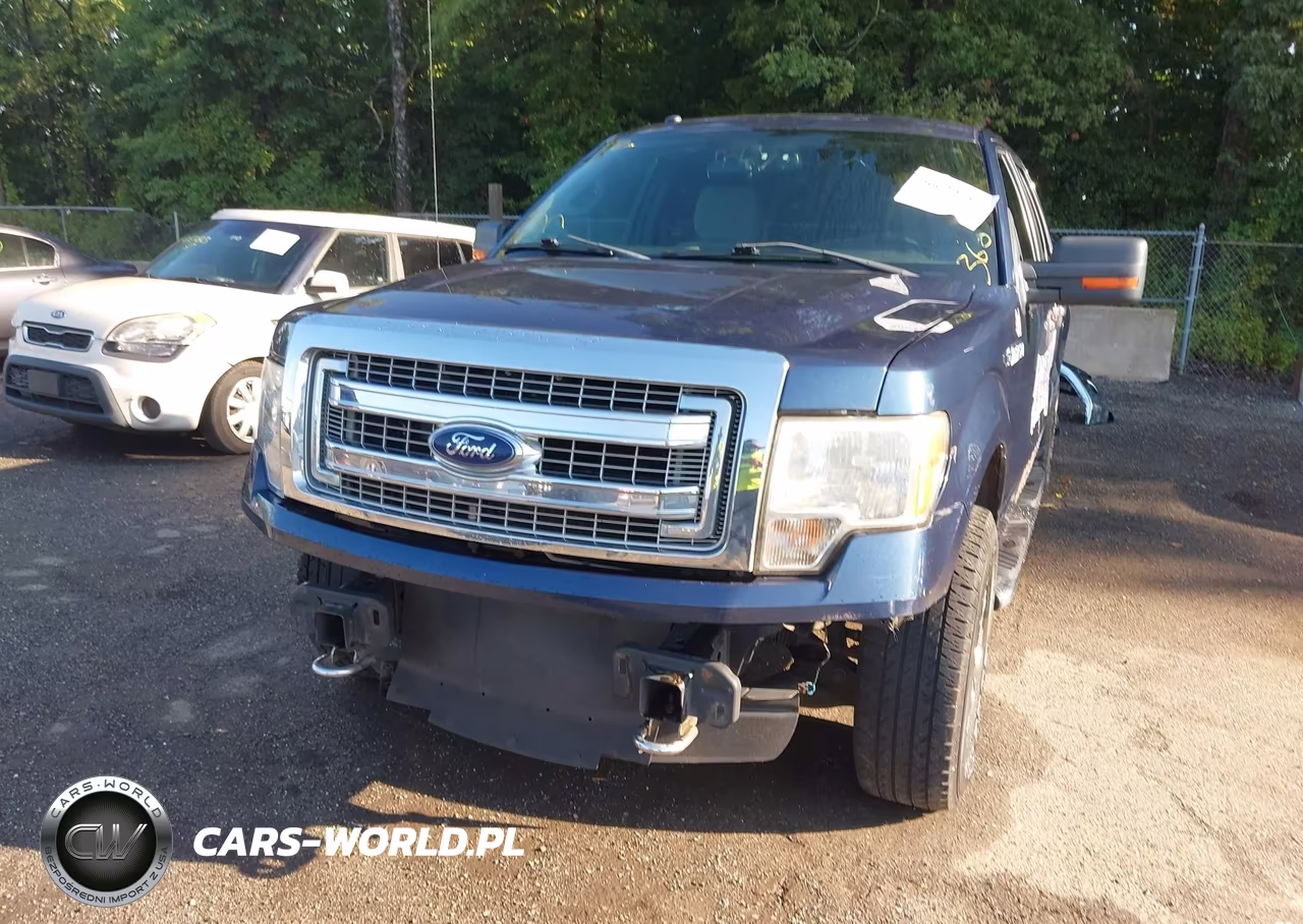 2013 Ford F-150 Xlt VIN:1FTFW1EF7DFD38459 - 6