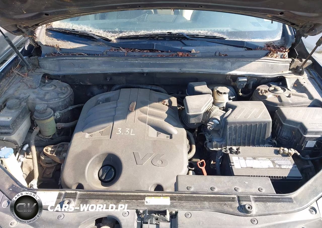 2009 Hyundai Santa Fe Limited VIN:5NMSH13EX9H322785 - 10
