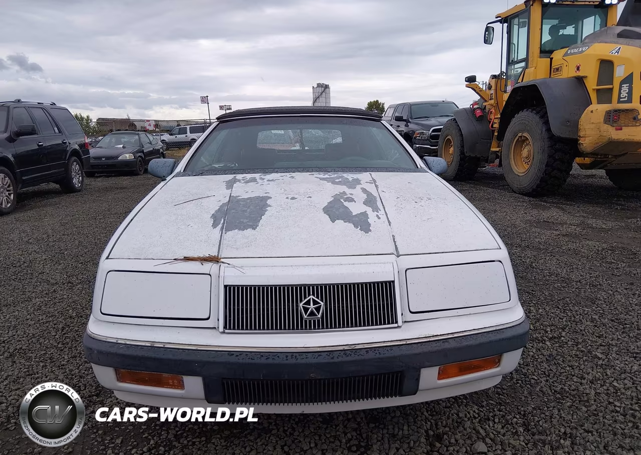 1989 Chrysler Lebaron VIN:1C3XJ45J3KG270228 - 13