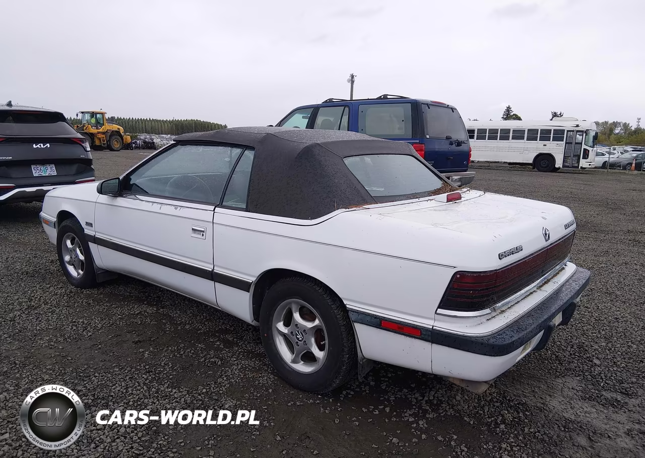 1989 Chrysler Lebaron VIN:1C3XJ45J3KG270228 - 3