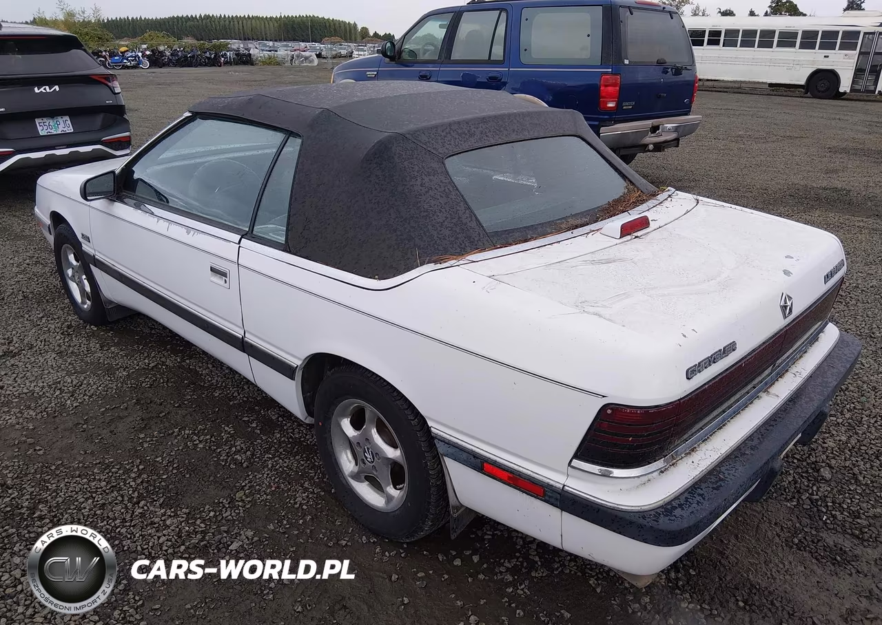 1989 Chrysler Lebaron VIN:1C3XJ45J3KG270228 - 6