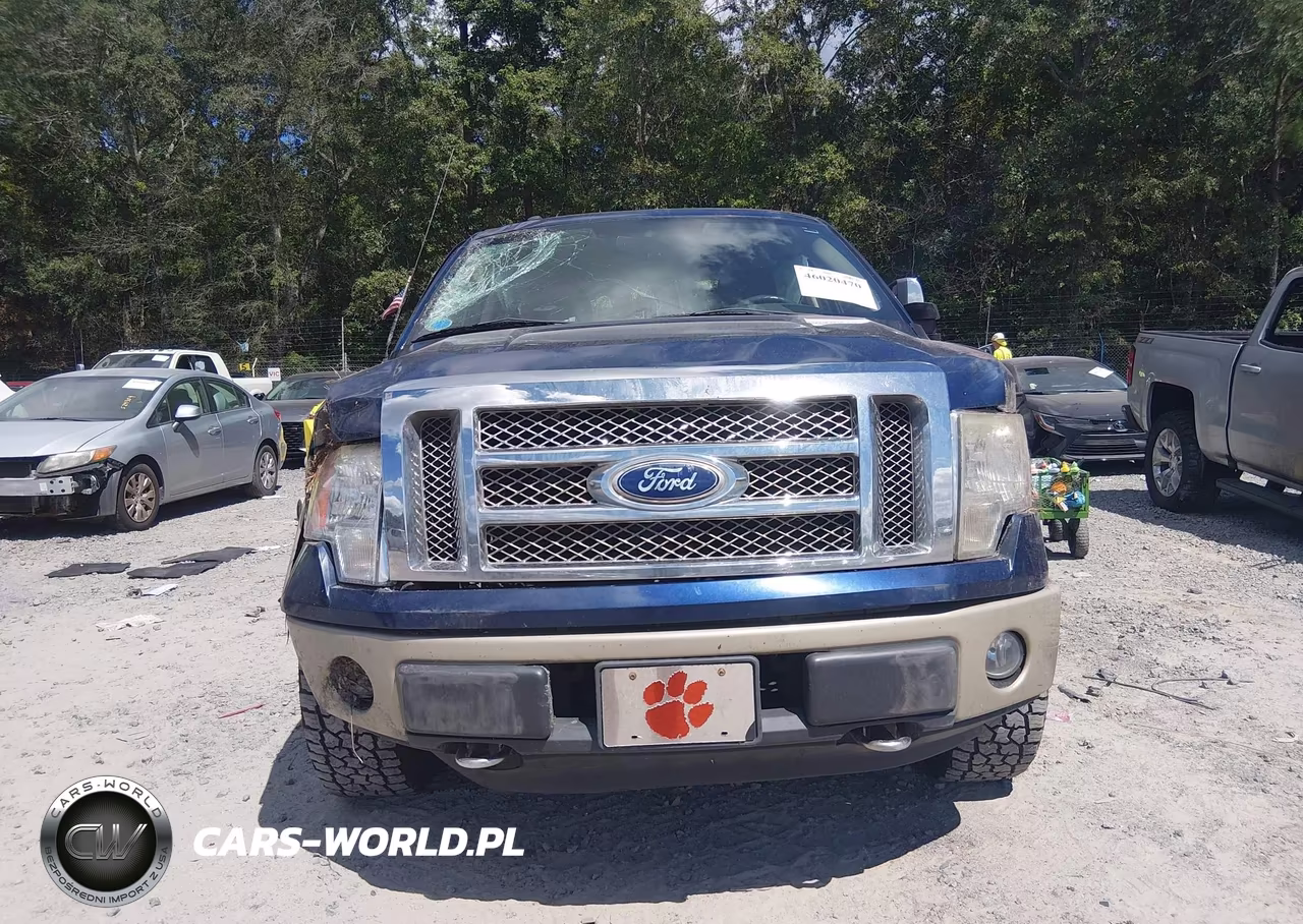 2010 Ford F-150 Fx4-Harley-Davidson-King Ranch-Lariat-Platinum-Xl-Xlt VIN:1FTFW1EV6AFC27551 - 13