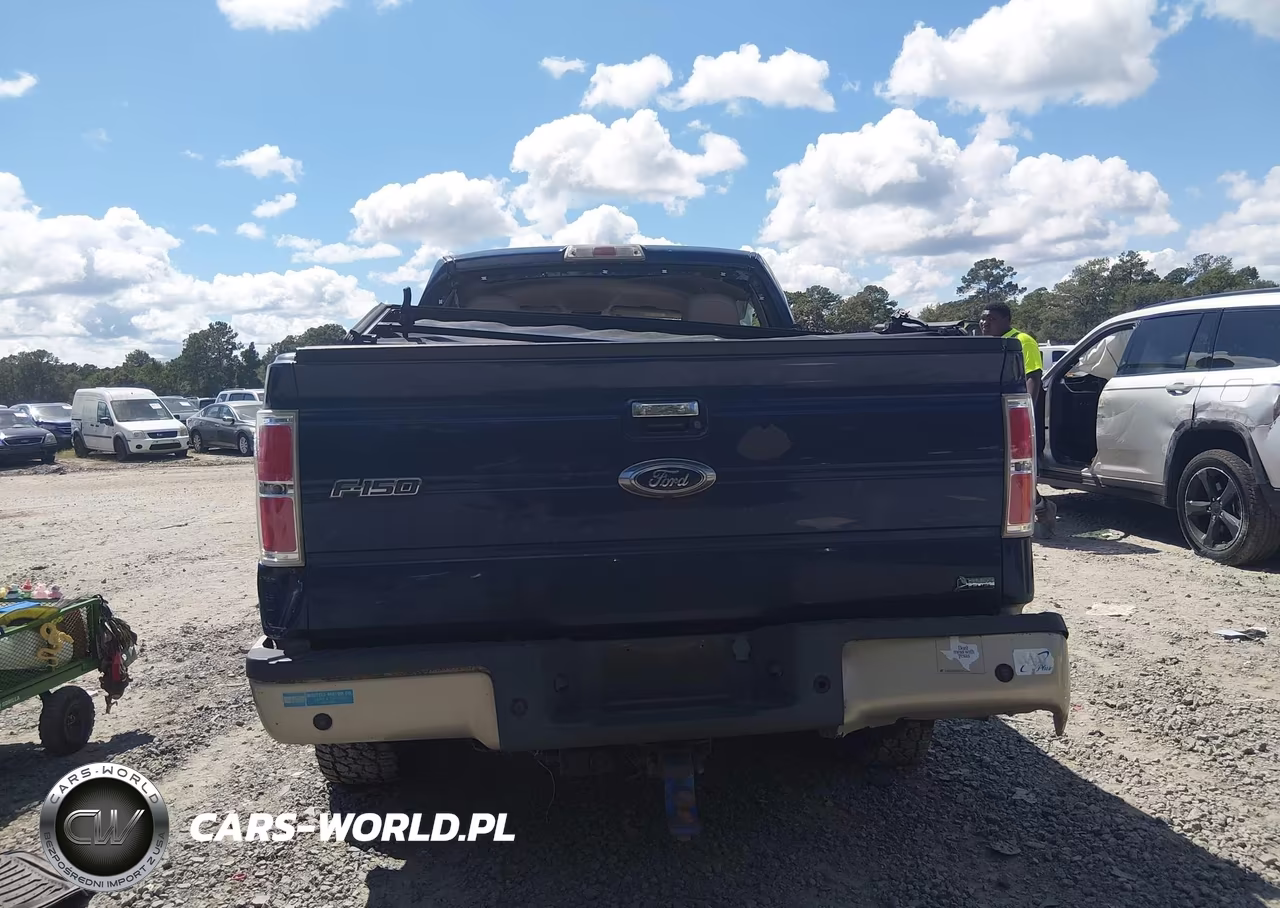 2010 Ford F-150 Fx4-Harley-Davidson-King Ranch-Lariat-Platinum-Xl-Xlt VIN:1FTFW1EV6AFC27551 - 17
