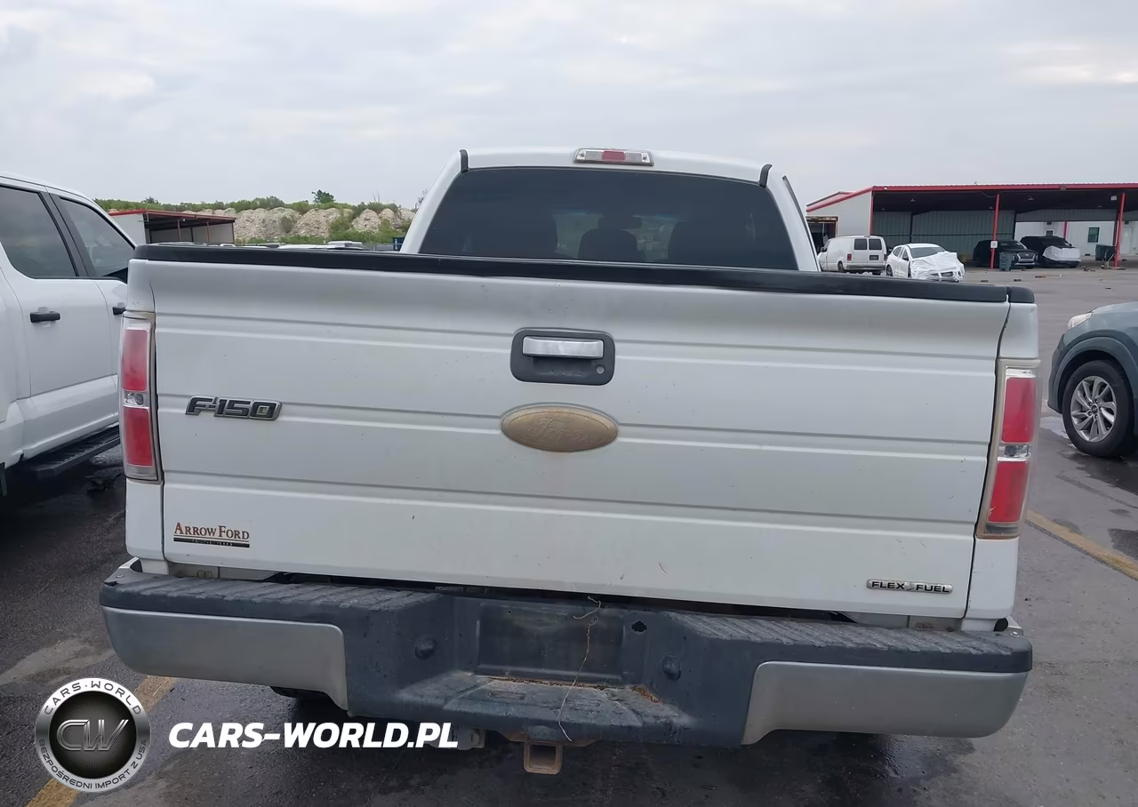 2011 Ford F-150 Xlt VIN:1FTEX1CM9BFC20291 - 16
