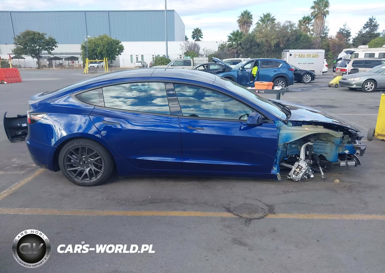 2025 Tesla Model 3 Long Range Rear-Wheel Drive-Standard Rear-Wheel Drive VIN:5YJ3E1EA2SF081948 - 14