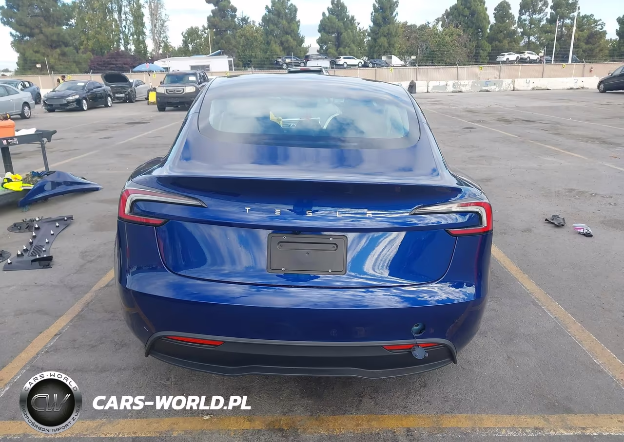 2025 Tesla Model 3 Long Range Rear-Wheel Drive-Standard Rear-Wheel Drive VIN:5YJ3E1EA2SF081948 - 17