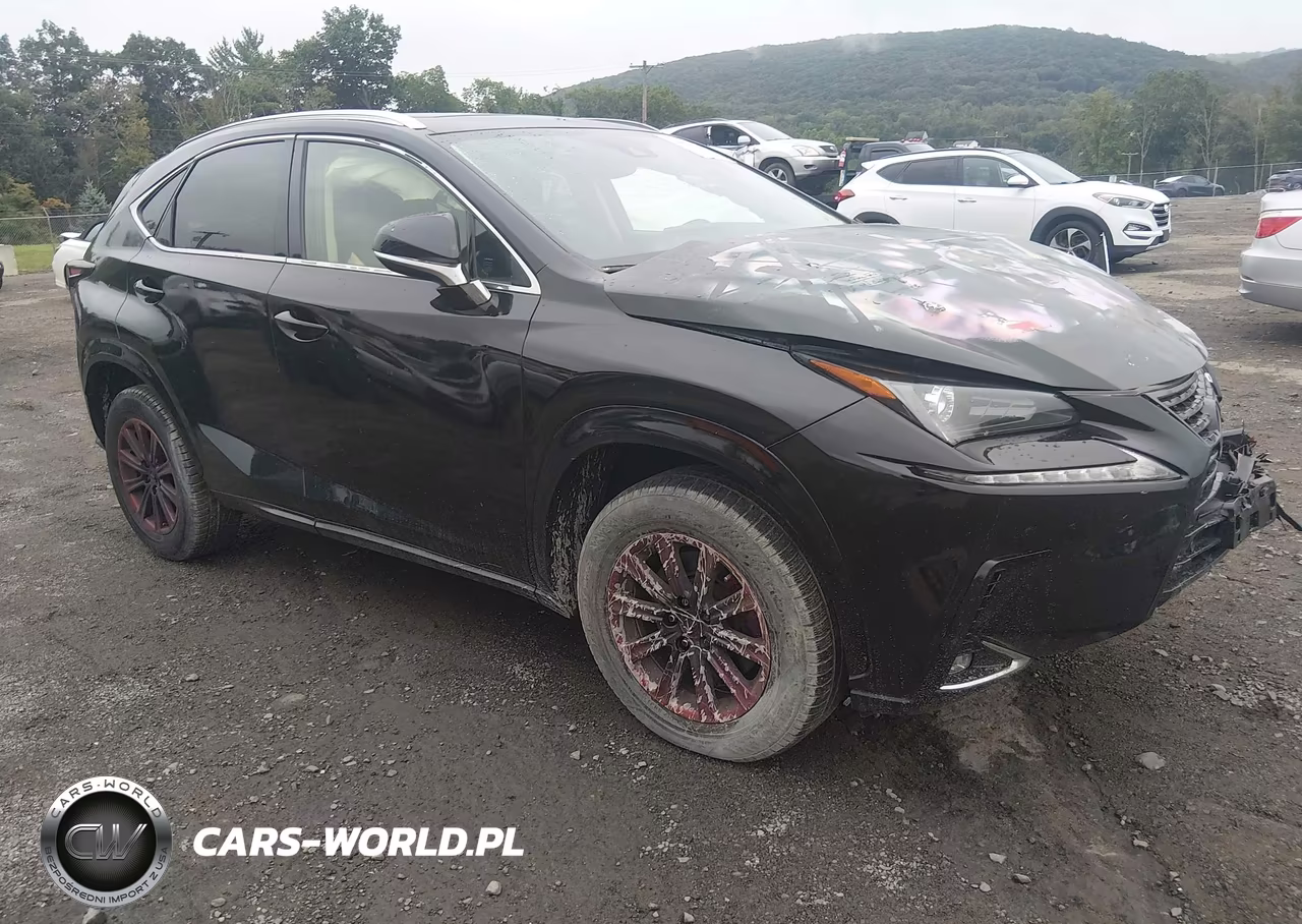 2021 Lexus Nx 300