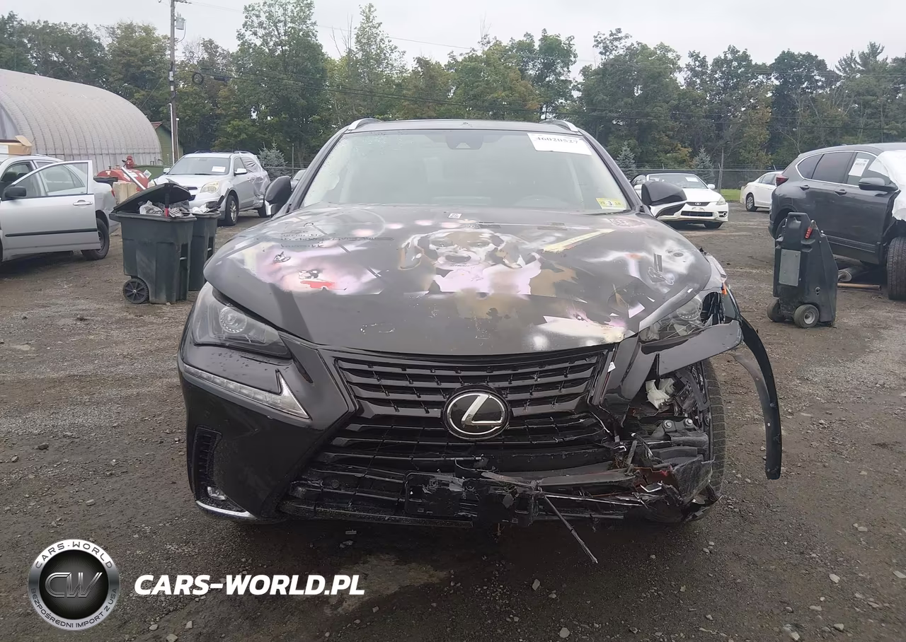 2021 Lexus Nx 300 VIN:JTJDARDZ1M2253721 - 12
