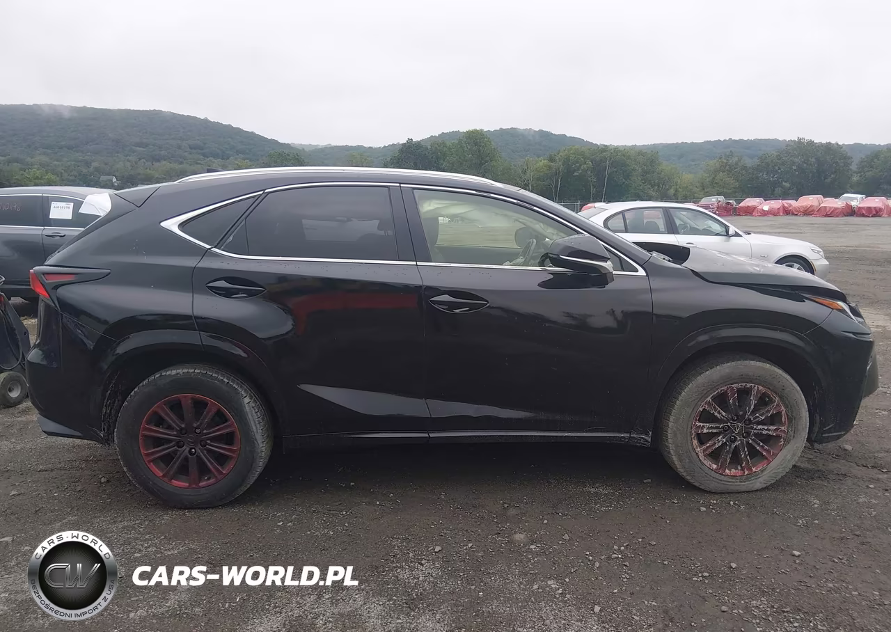2021 Lexus Nx 300 VIN:JTJDARDZ1M2253721 - 13