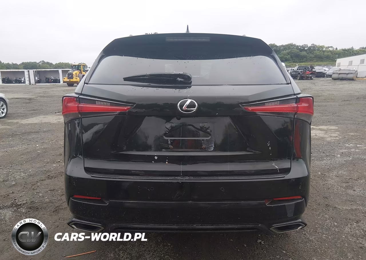2021 Lexus Nx 300 VIN:JTJDARDZ1M2253721 - 16