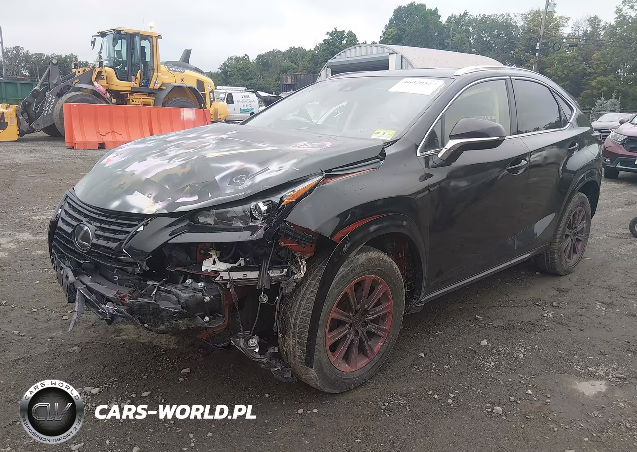 2021 Lexus Nx 300 VIN:JTJDARDZ1M2253721 - 2