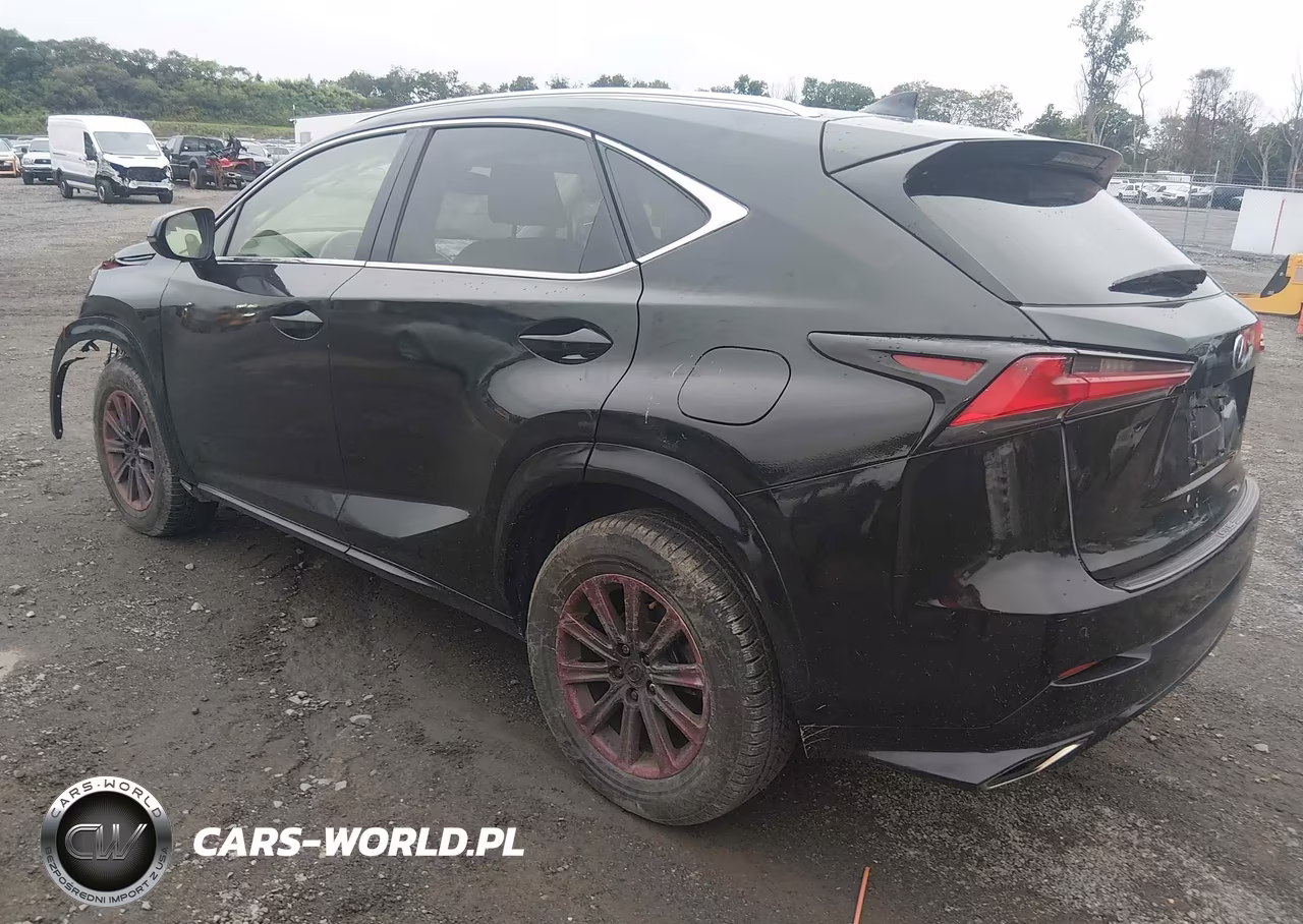2021 Lexus Nx 300 VIN:JTJDARDZ1M2253721 - 3