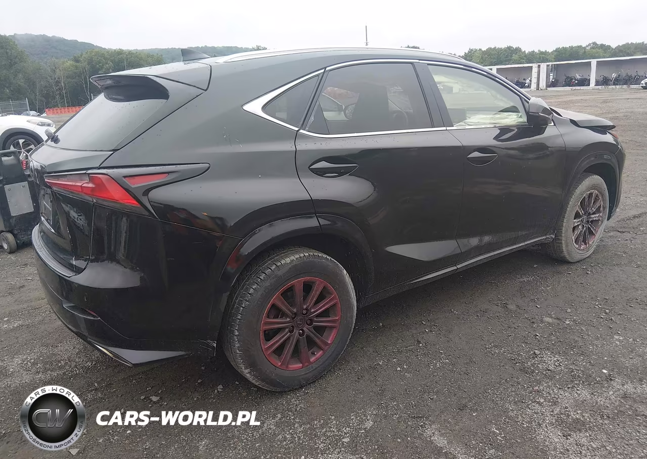 2021 Lexus Nx 300 VIN:JTJDARDZ1M2253721 - 4