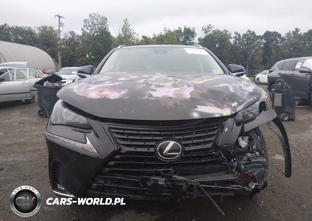 2021 Lexus Nx 300 VIN:JTJDARDZ1M2253721 - 6