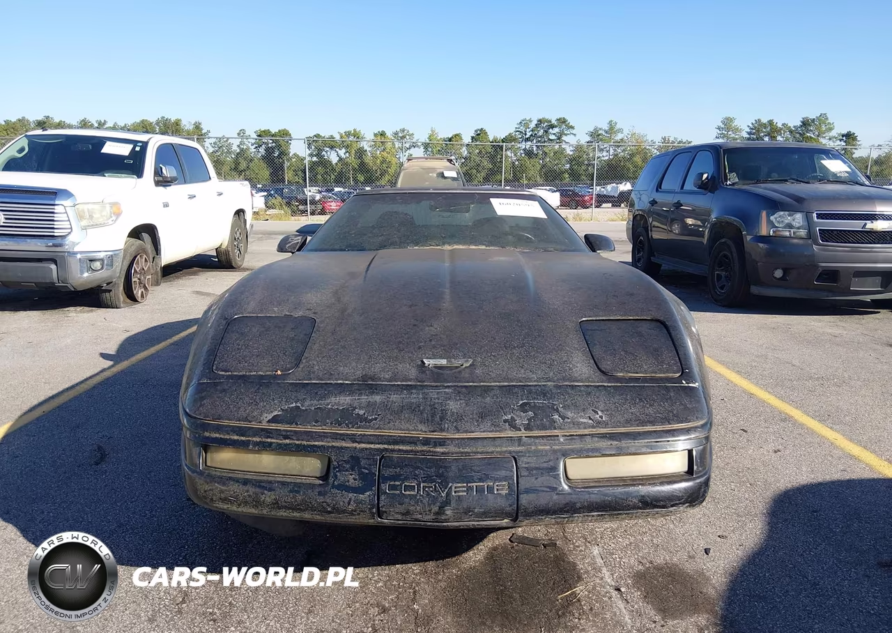 1996 Chevrolet Corvette VIN:1G1YY22P6T5100637 - 12