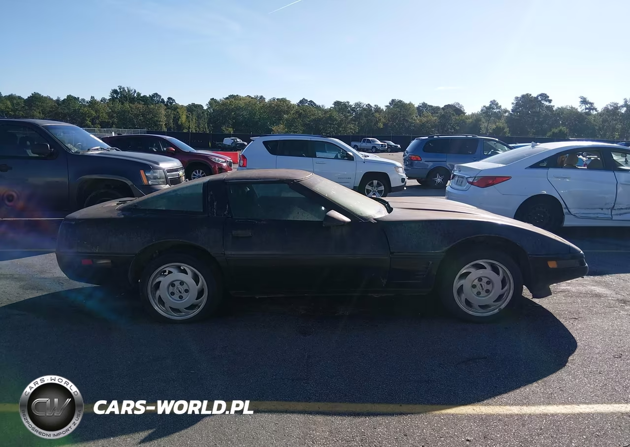 1996 Chevrolet Corvette VIN:1G1YY22P6T5100637 - 13