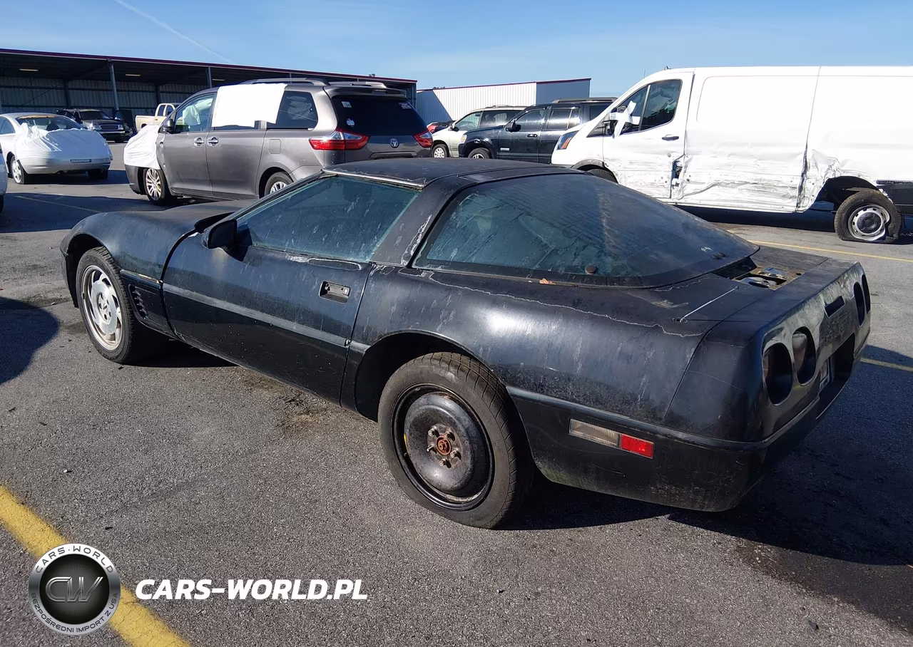 1996 Chevrolet Corvette VIN:1G1YY22P6T5100637 - 3
