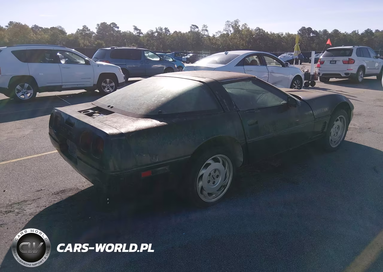 1996 Chevrolet Corvette VIN:1G1YY22P6T5100637 - 4