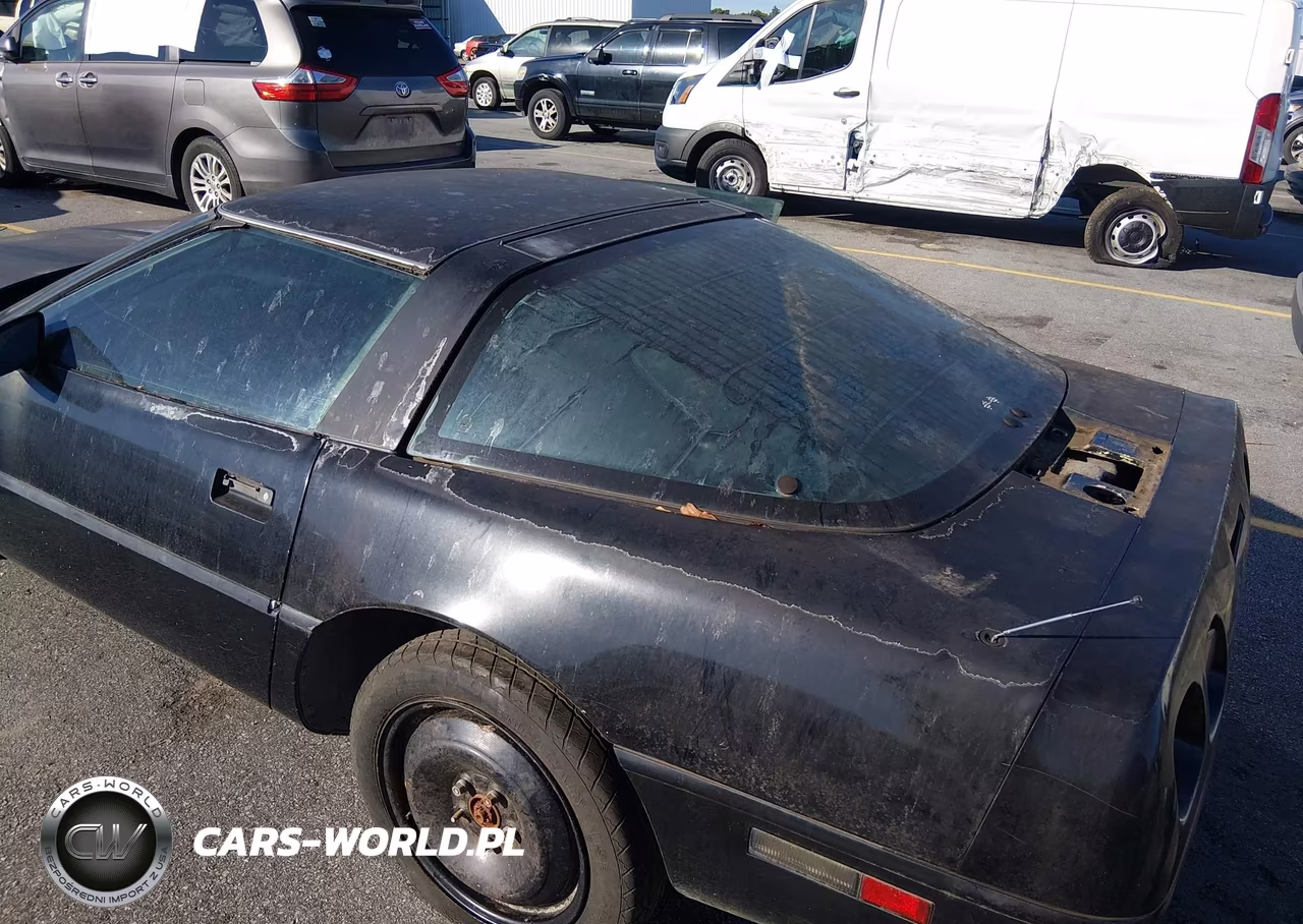 1996 Chevrolet Corvette VIN:1G1YY22P6T5100637 - 6