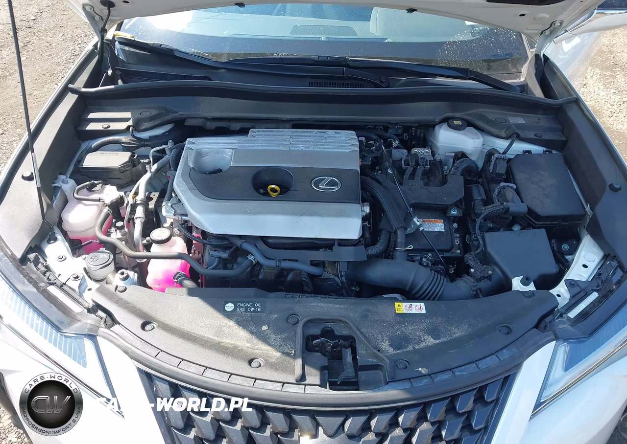 2024 Lexus Ux 250H Premium VIN:JTHP9JBHXR2076936 - 10