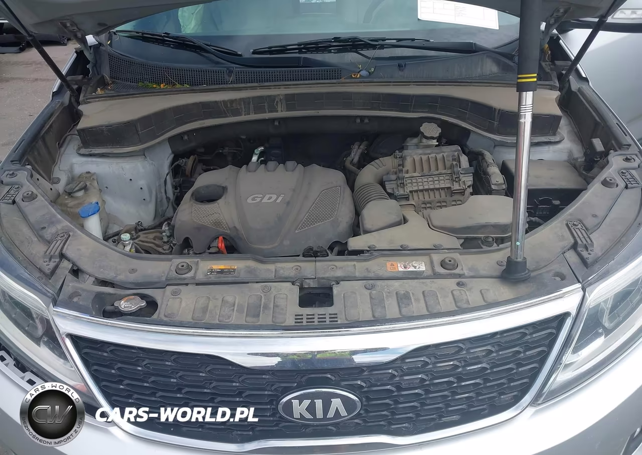 2014 Kia Sorento Lx VIN:5XYKTCA65EG476119 - 10