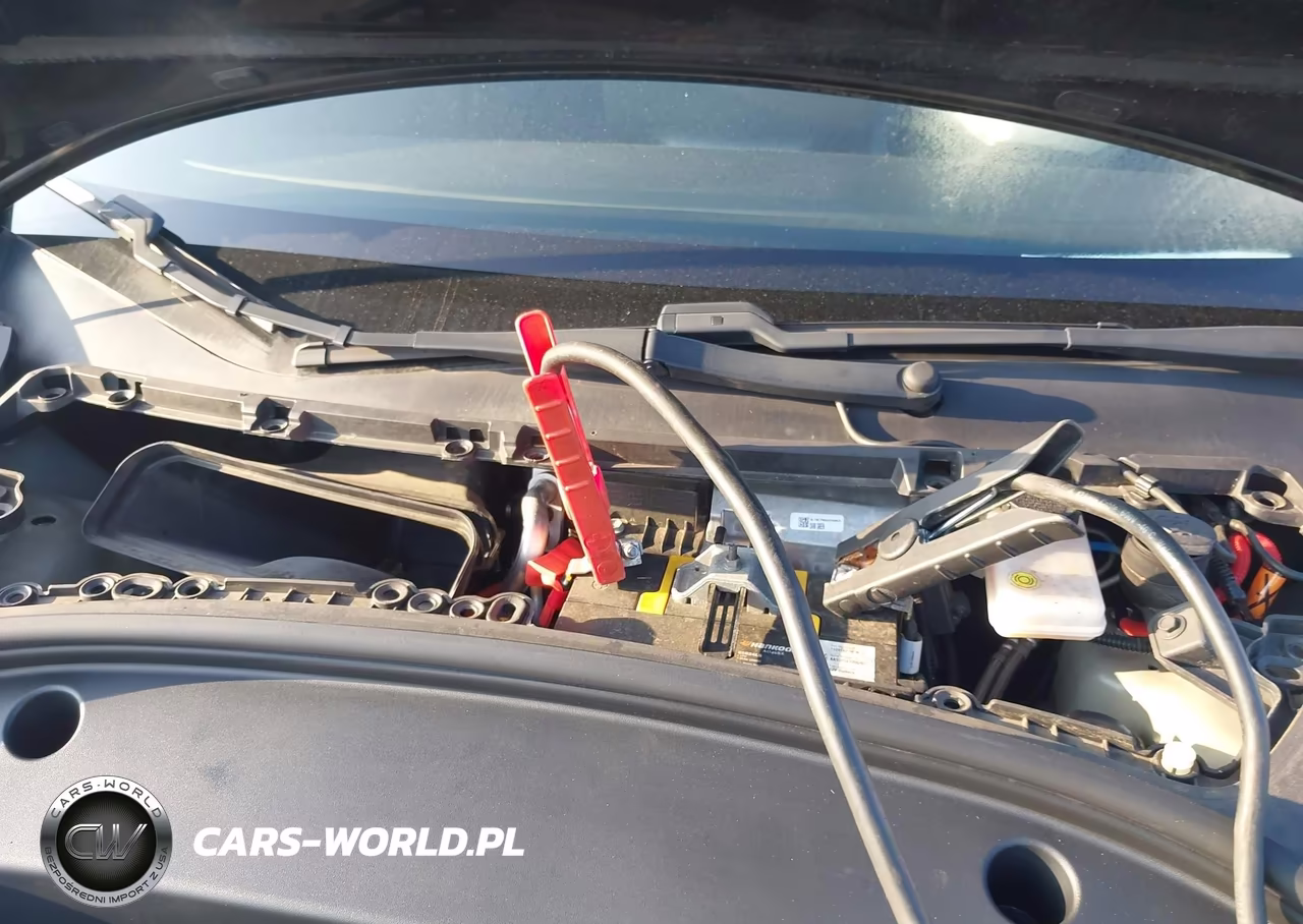 2020 Tesla Model 3 VIN:5YJ3E1EAXLF792895 - 10
