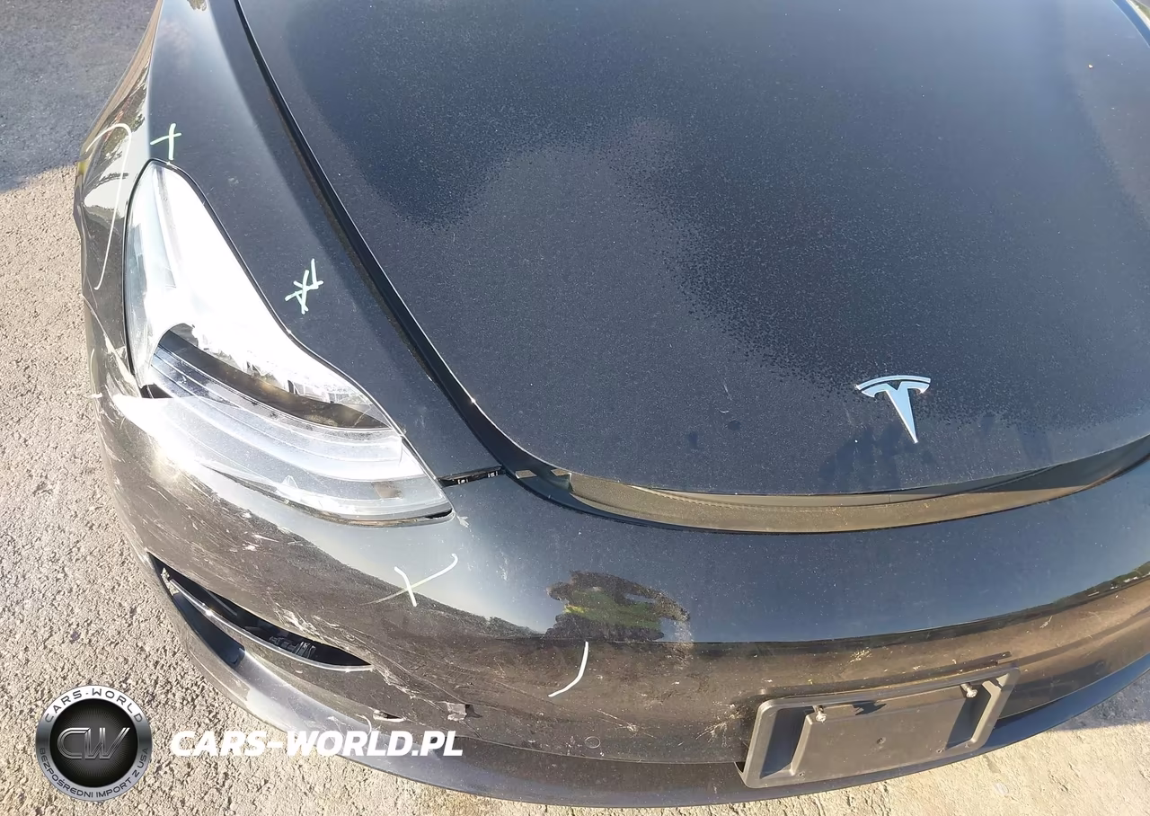 2020 Tesla Model 3 VIN:5YJ3E1EAXLF792895 - 19