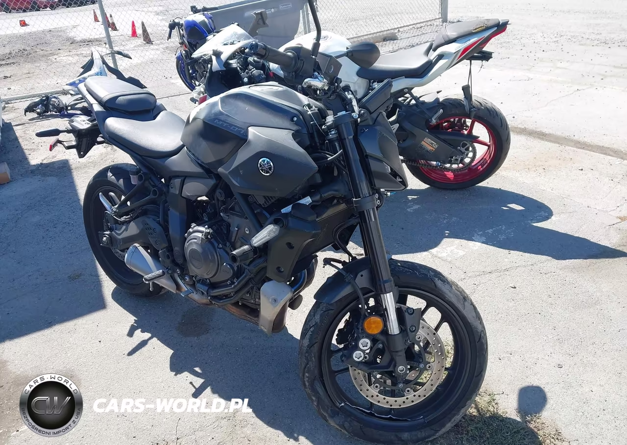 2025 Yamaha Mtn690 C