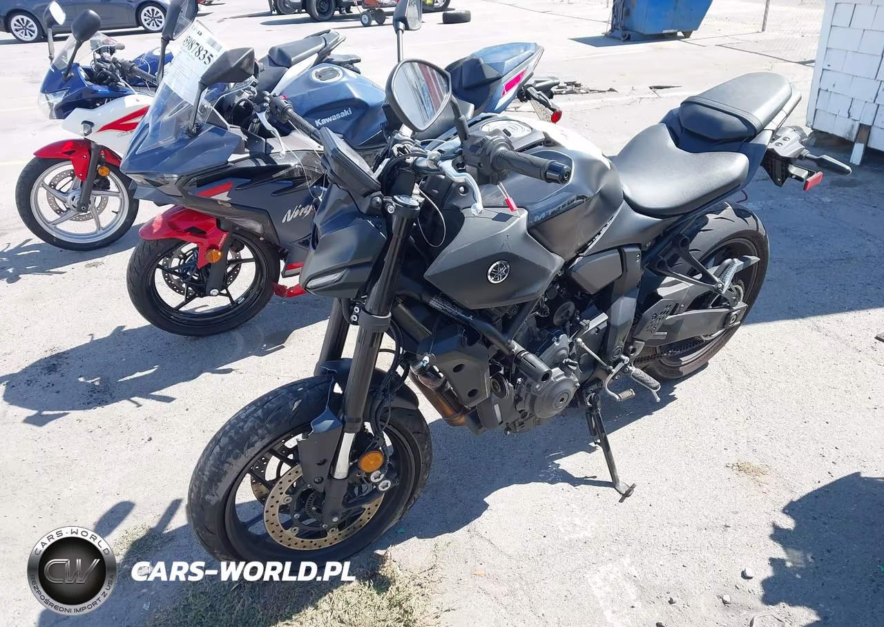 2025 Yamaha Mtn690 C VIN:JYARM48Y7SA000616 - 2