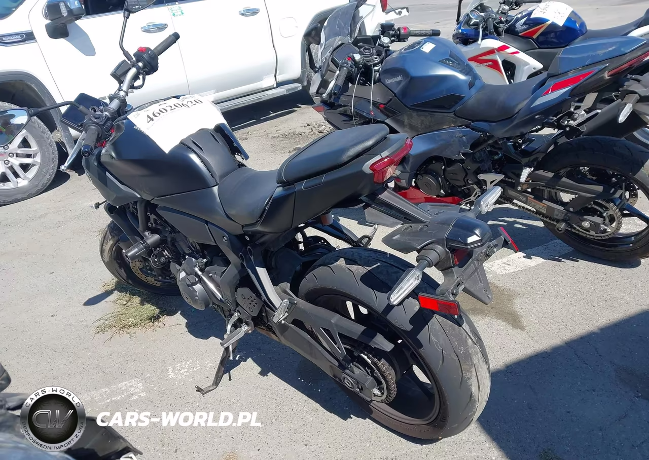 2025 Yamaha Mtn690 C VIN:JYARM48Y7SA000616 - 3