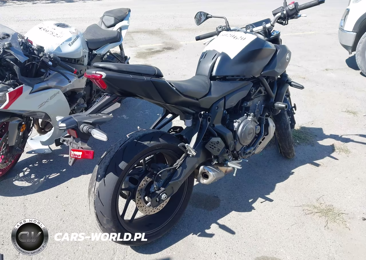 2025 Yamaha Mtn690 C VIN:JYARM48Y7SA000616 - 4
