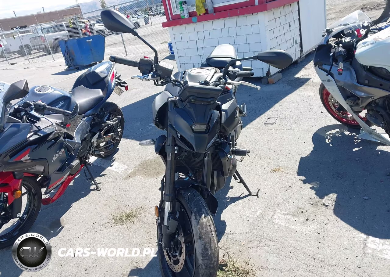 2025 Yamaha Mtn690 C VIN:JYARM48Y7SA000616 - 5