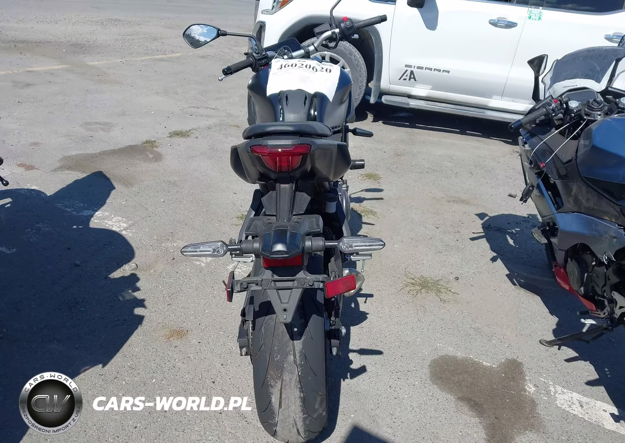 2025 Yamaha Mtn690 C VIN:JYARM48Y7SA000616 - 6