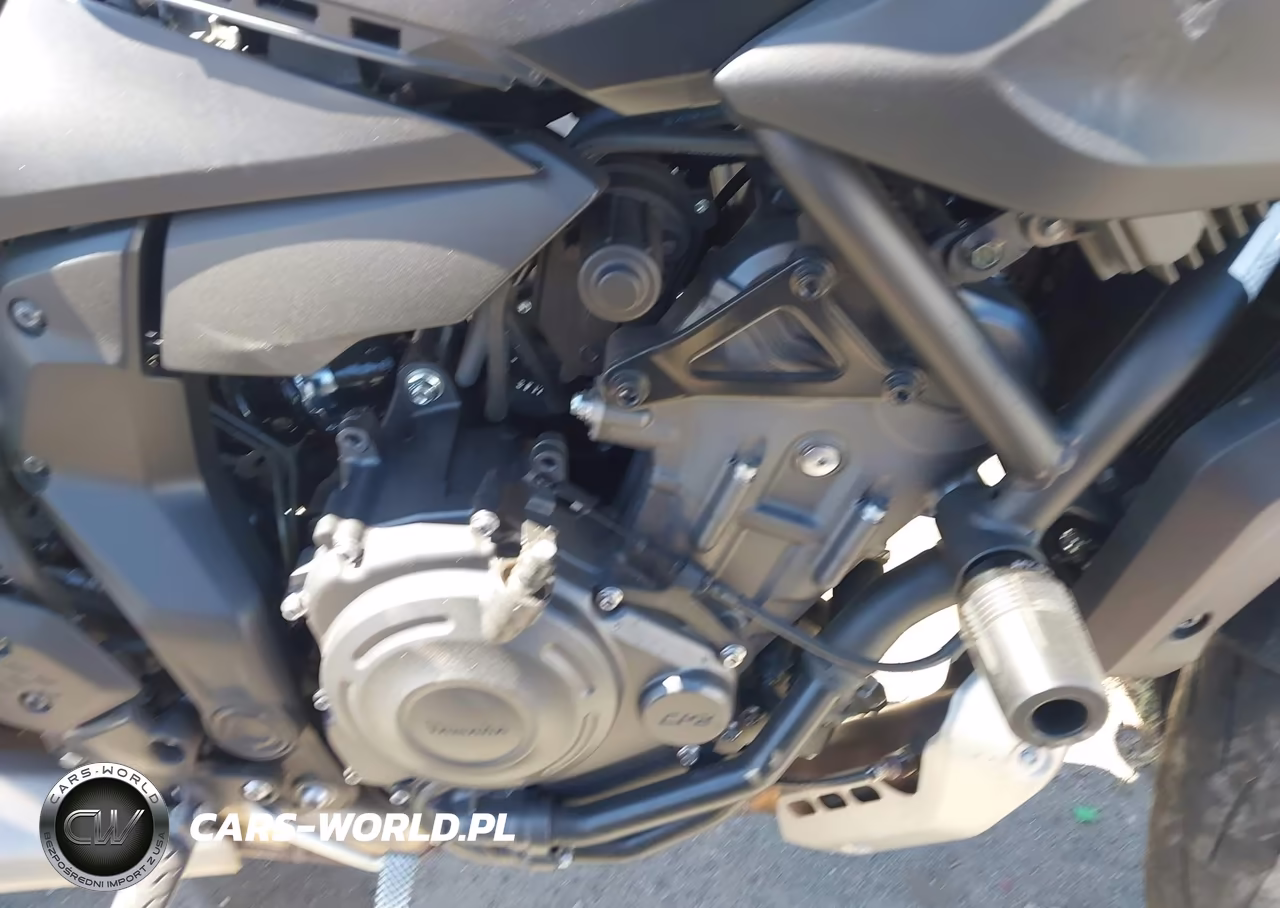2025 Yamaha Mtn690 C VIN:JYARM48Y7SA000616 - 8