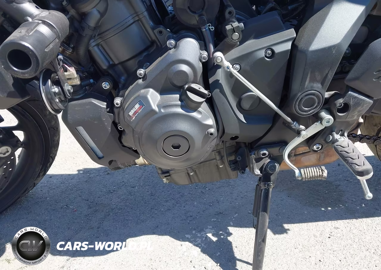 2025 Yamaha Mtn690 C VIN:JYARM48Y7SA000616 - 9